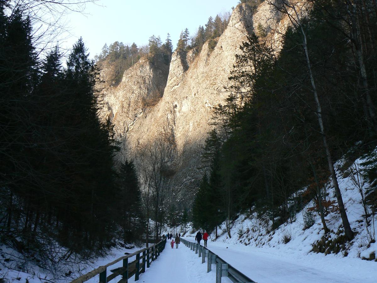 Rekreacna Usadlost Pieninka Lesnica Extérieur photo